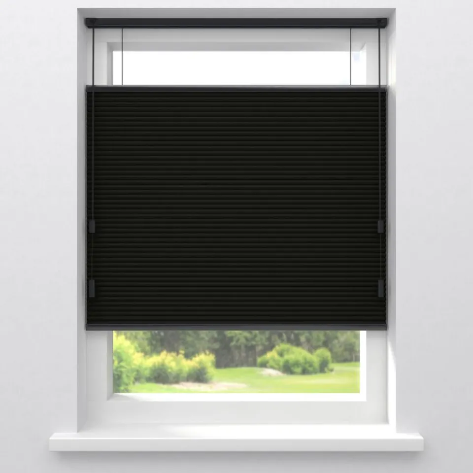 Kwantum Fenstr Dubbel Plissé Suus Zwart Verduisterend