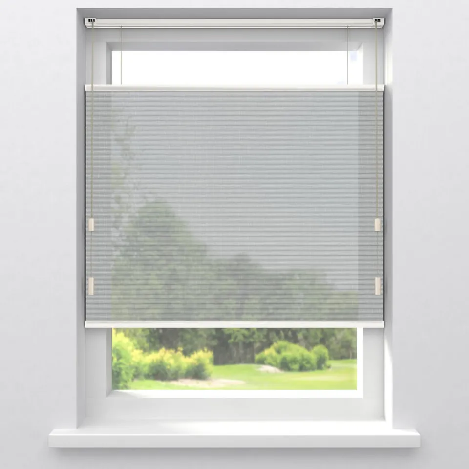 Kwantum Fenstr Dubbel Plisségordijn Lou Transparant