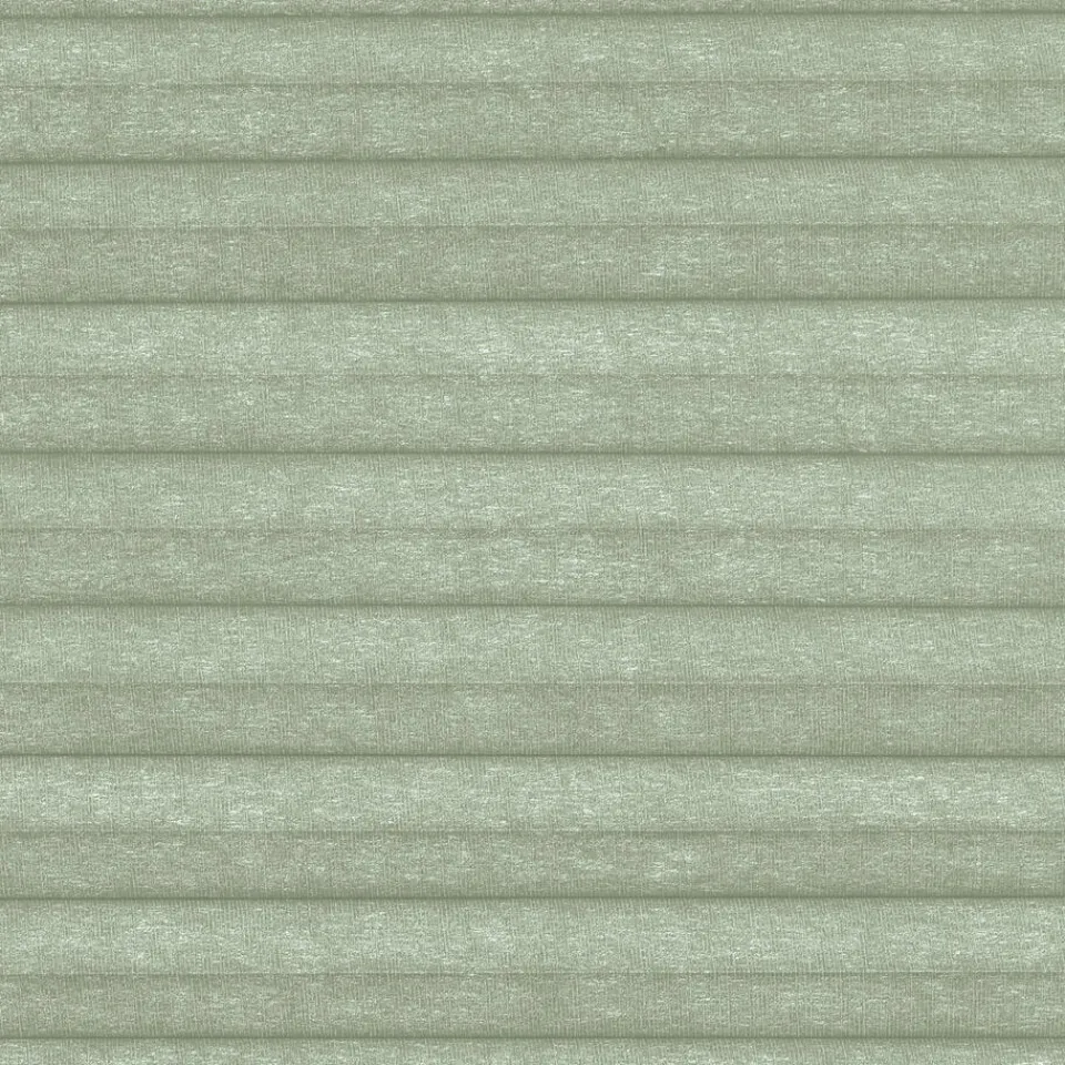 Kwantum Fenstr Dubbel Plisségordijn Dana Groen Lichtdoorlatend