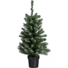 Kwantum Kerstboom Fiss Frosted Groen