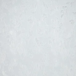 Kwantum Plakfolie Blad Transparant